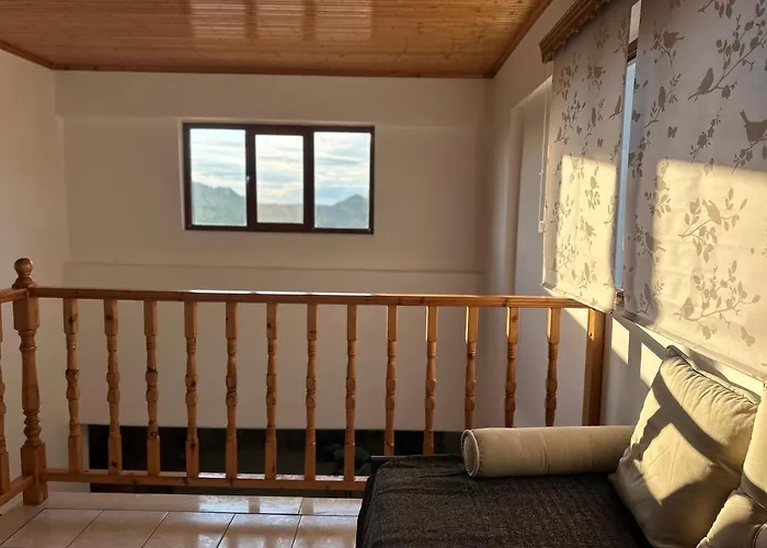 Bacchus * Archea Pissa